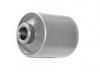 Suspension Bushing:48704-28040