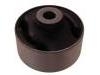 悬架衬套 Control Arm Bushing:51391-SFE-003